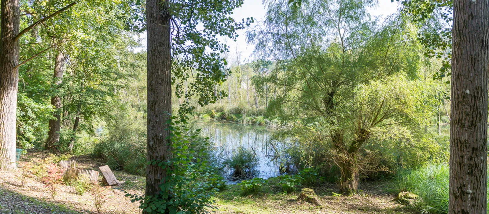 1770285772-21) wilde tuin (20)